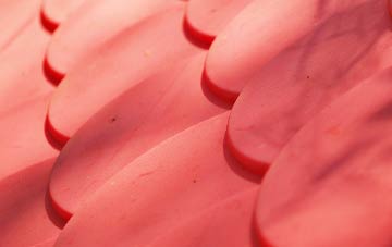 Dol Ffanog plastic roof costs